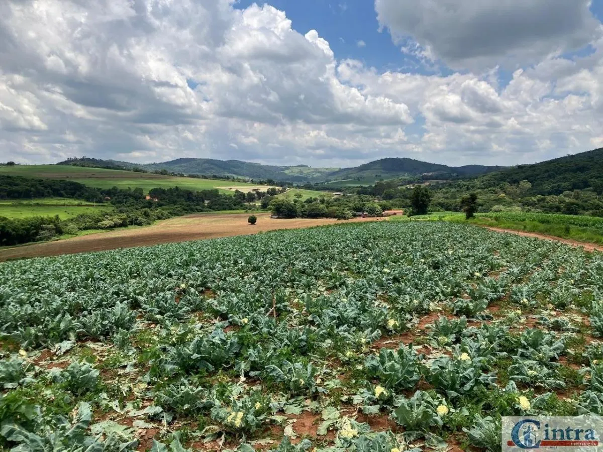 Fazenda à venda de 51 ha em Tuiuti, SP, Brasil