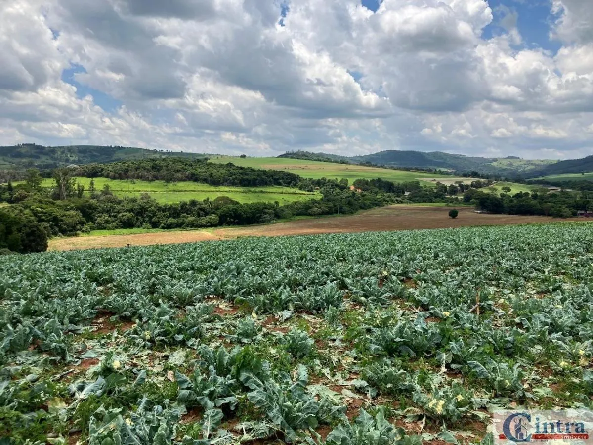 Fazenda à venda de 51 ha em Tuiuti, SP, Brasil