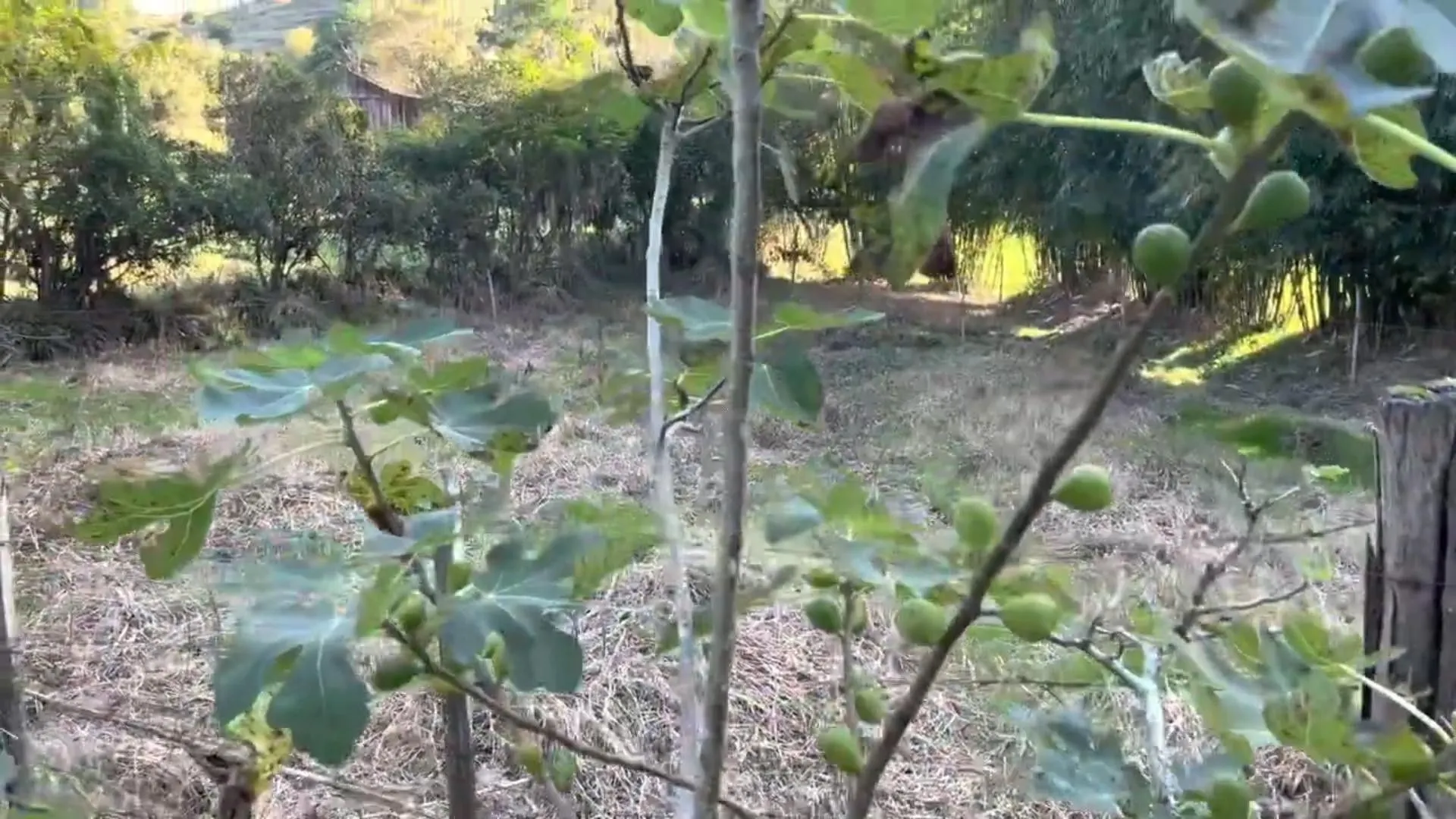 Country home for sale of 5 acres in Santo Antônio da Patrulha, RS, Brazil
