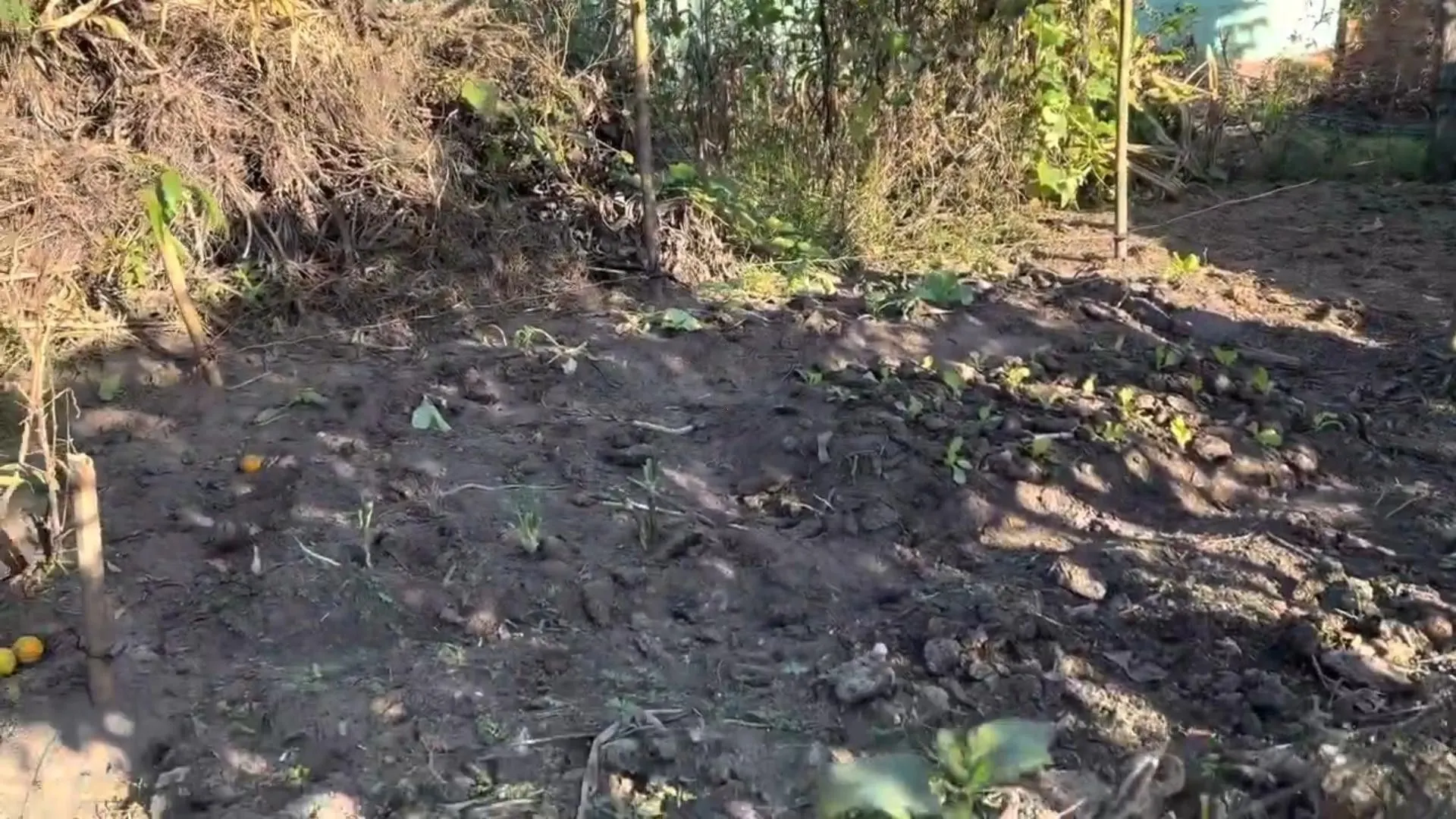 Country home for sale of 5 acres in Santo Antônio da Patrulha, RS, Brazil