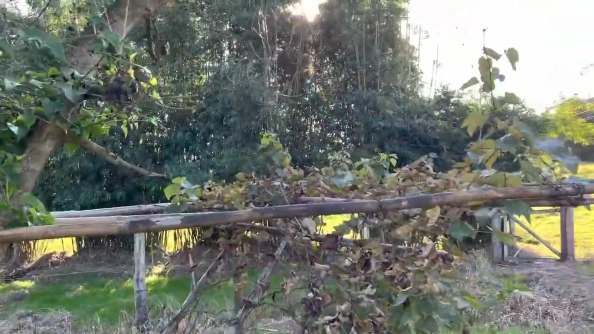 Country home for sale of 5 acres in Santo Antônio da Patrulha, RS, Brazil