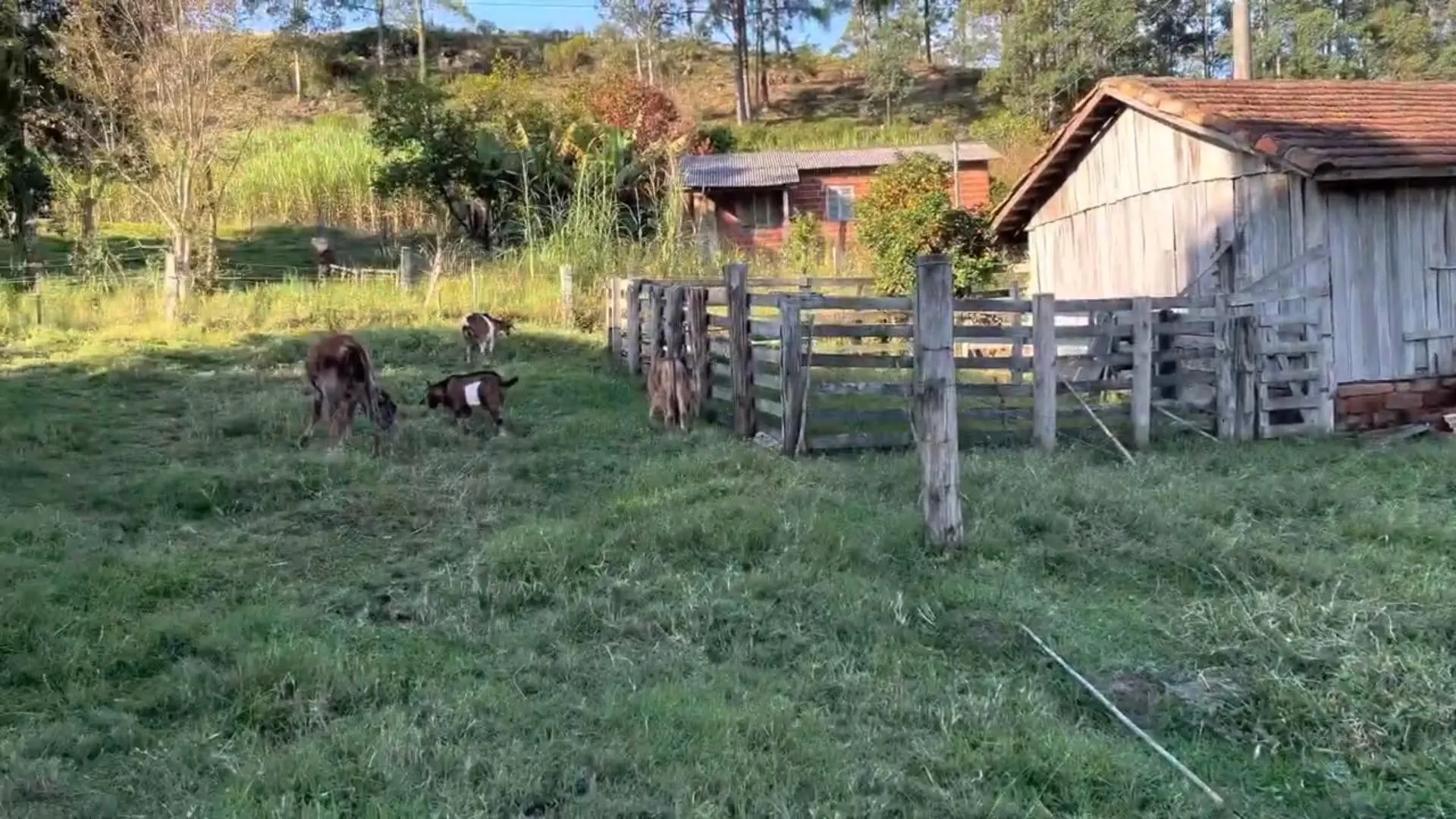 Country home for sale of 5 acres in Santo Antônio da Patrulha, RS, Brazil