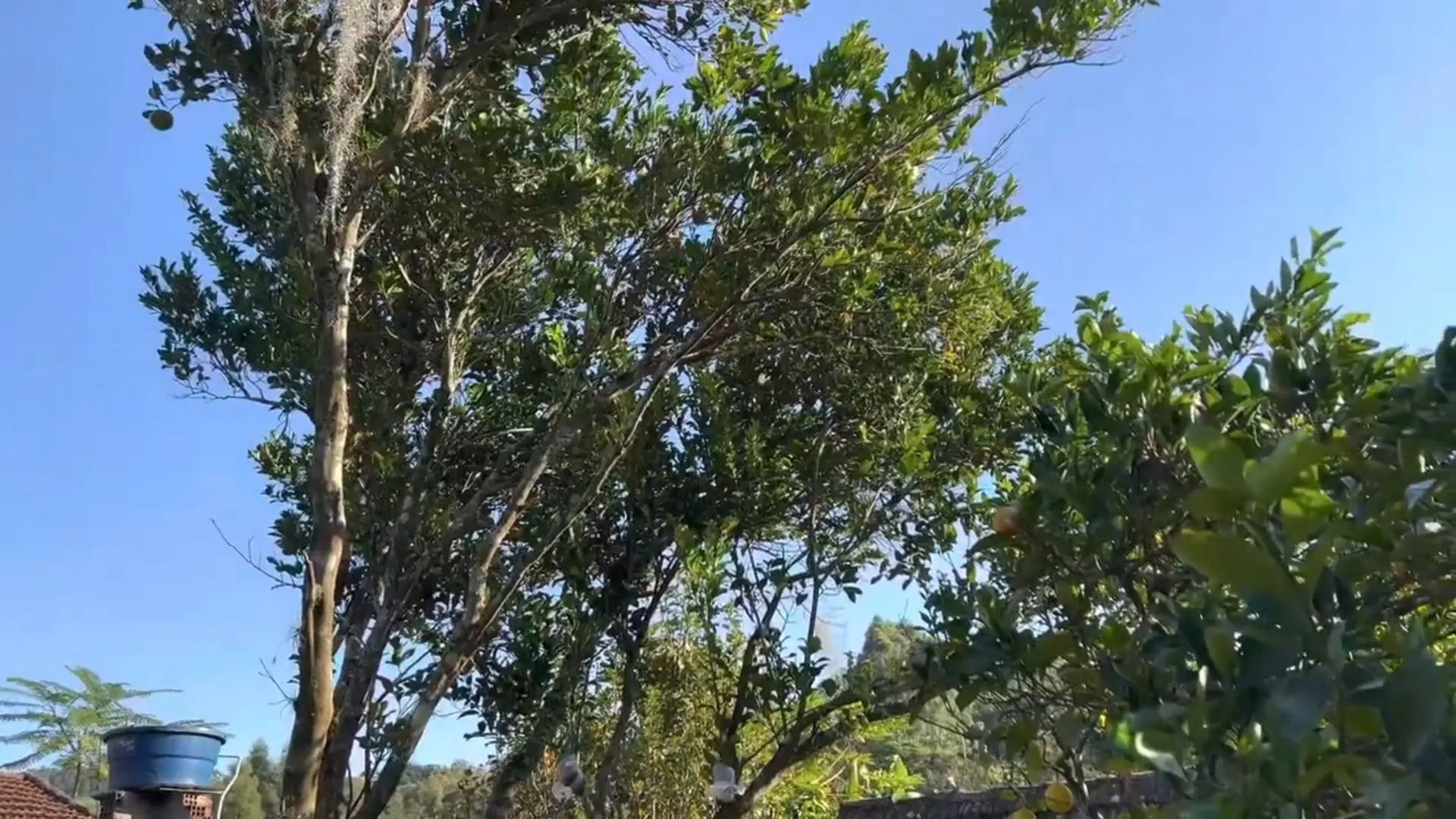 Country home for sale of 5 acres in Santo Antônio da Patrulha, RS, Brazil