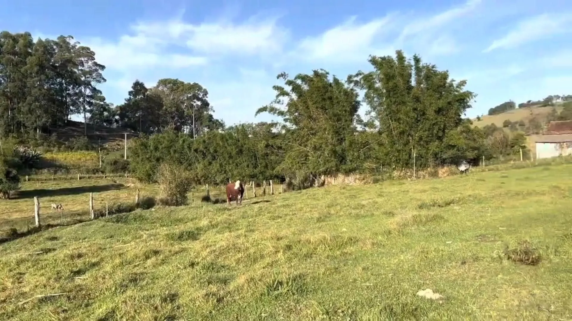 Country home for sale of 5 acres in Santo Antônio da Patrulha, RS, Brazil