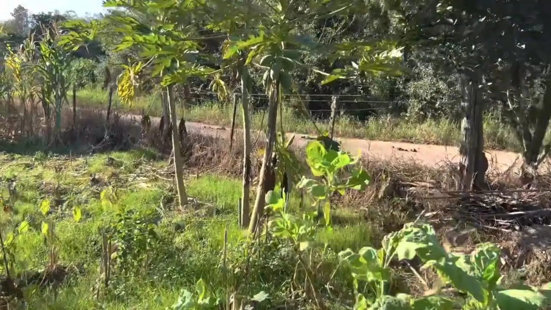Country home for sale of 5 acres in Santo Antônio da Patrulha, RS, Brazil