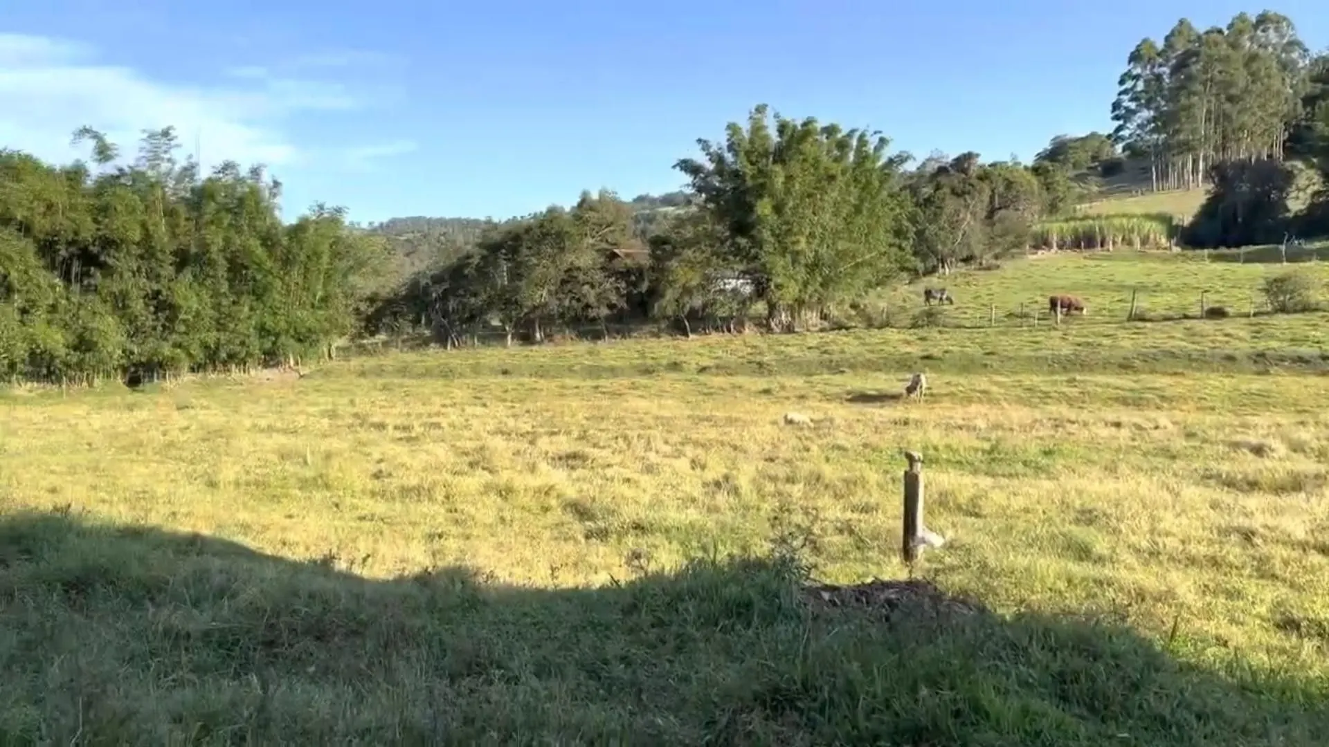 Country home for sale of 5 acres in Santo Antônio da Patrulha, RS, Brazil