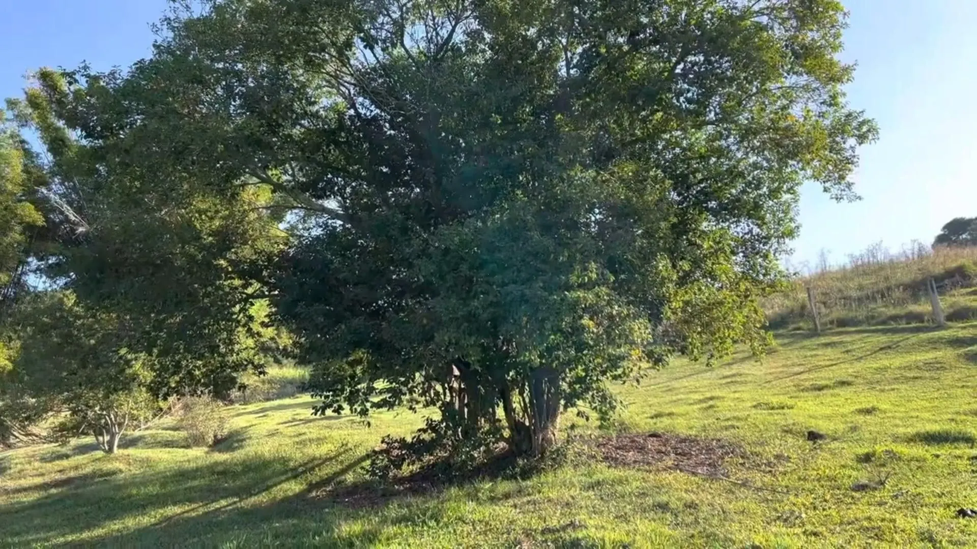 Country home for sale of 5 acres in Santo Antônio da Patrulha, RS, Brazil