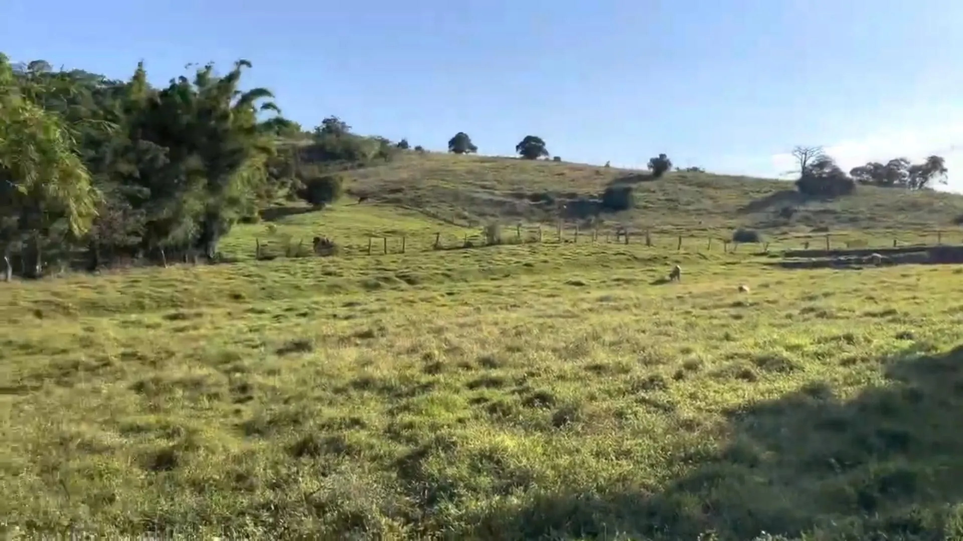 Country home for sale of 5 acres in Santo Antônio da Patrulha, RS, Brazil