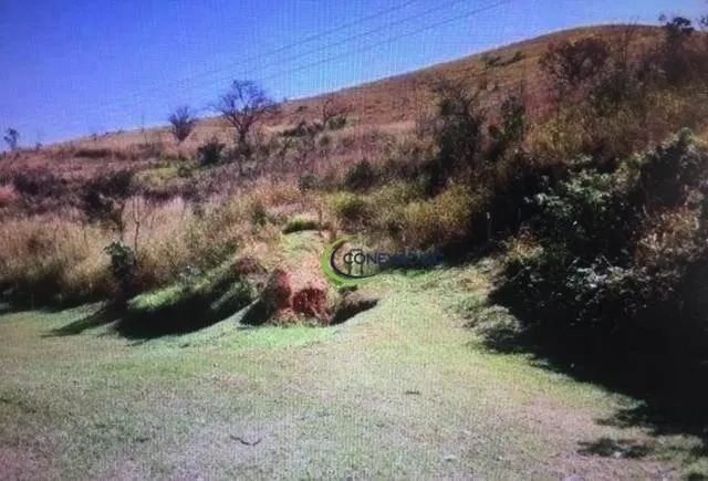 Fazenda à venda de 242 ha em Lavrinhas, SP, Brasil