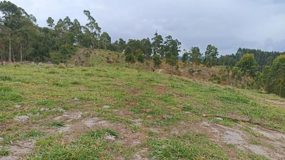 Fazenda à venda de 900 ha em Salesópolis, SP, Brasil