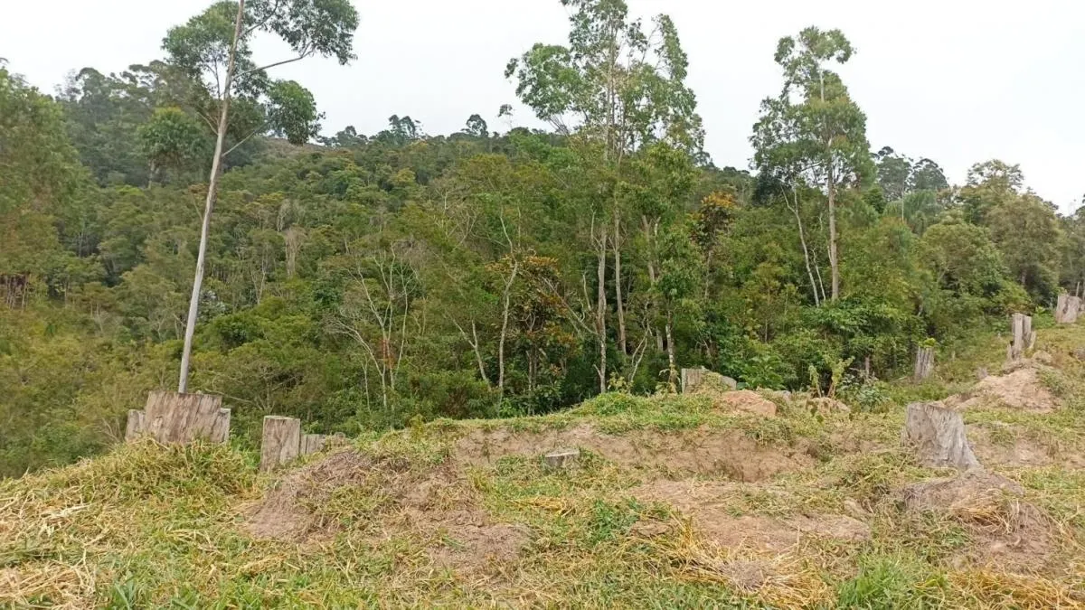 Fazenda à venda de 900 ha em Salesópolis, SP, Brasil