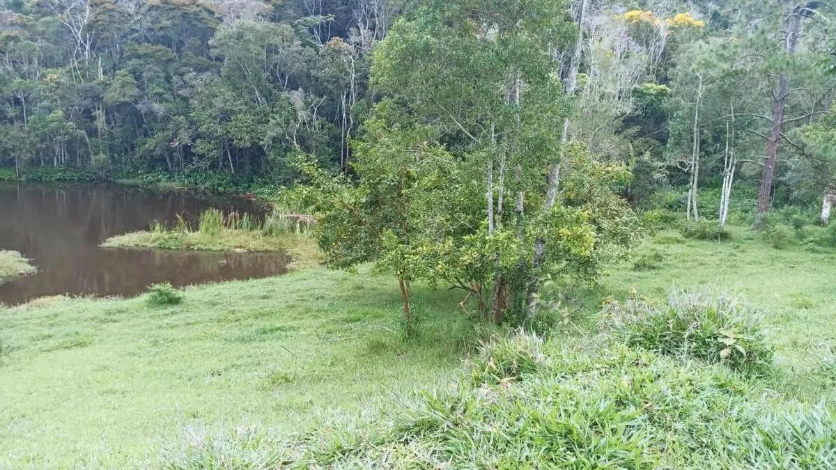 Fazenda à venda de 900 ha em Salesópolis, SP, Brasil