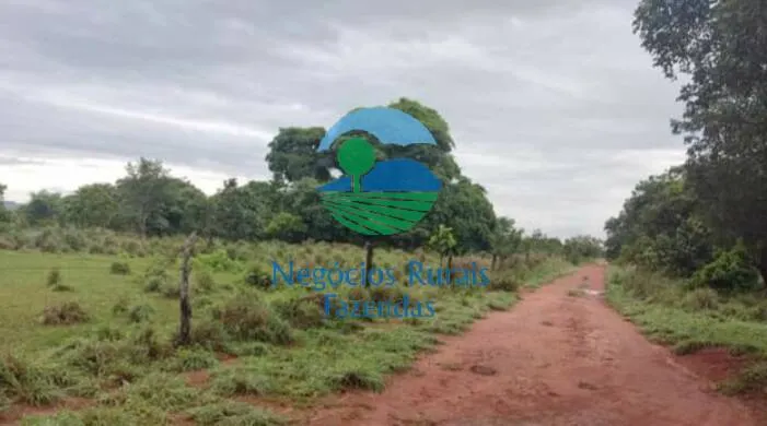 Farm for sale of 4,942 acres in Aliança do Tocantins, TO, Brazil