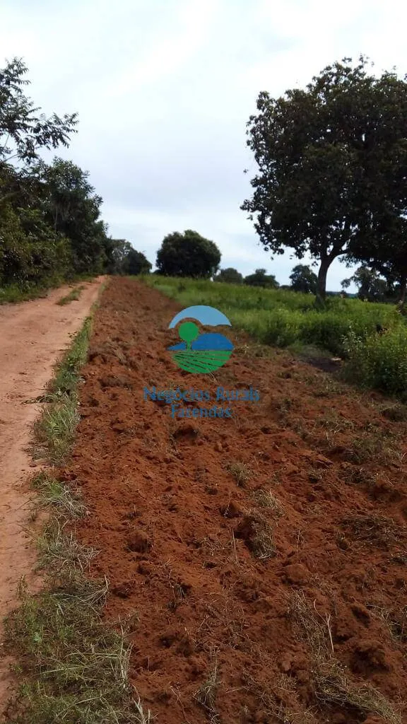 Farm for sale of 4,942 acres in Aliança do Tocantins, TO, Brazil