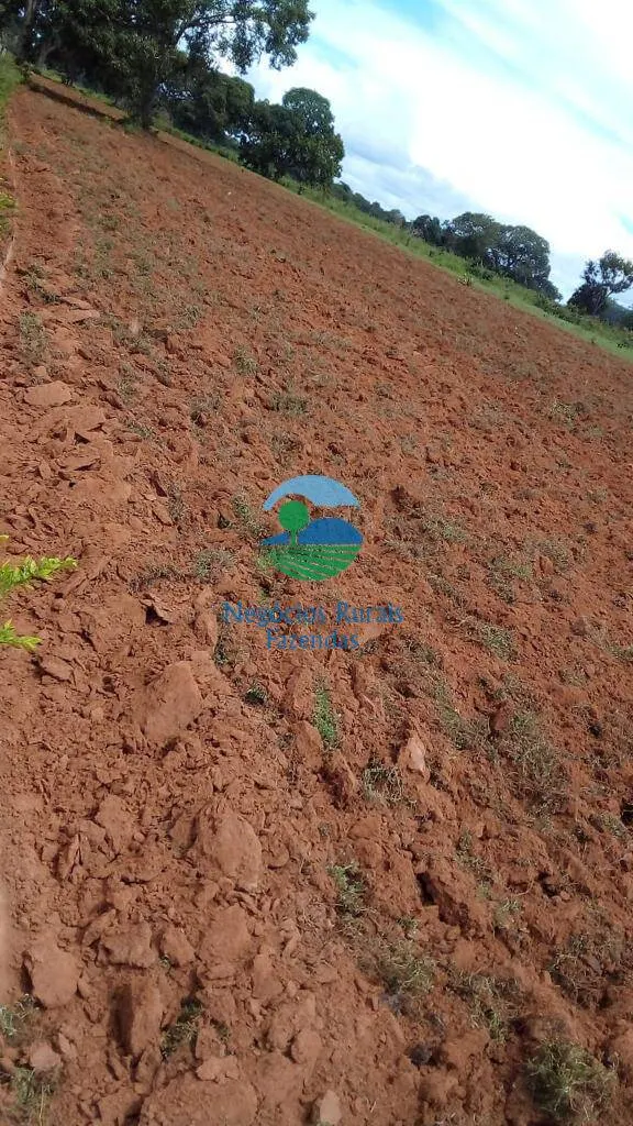 Fazenda à venda de 2.000 ha em Aliança do Tocantins, TO, Brasil