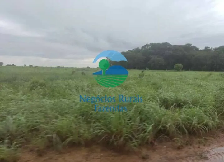 Farm for sale of 4,942 acres in Aliança do Tocantins, TO, Brazil