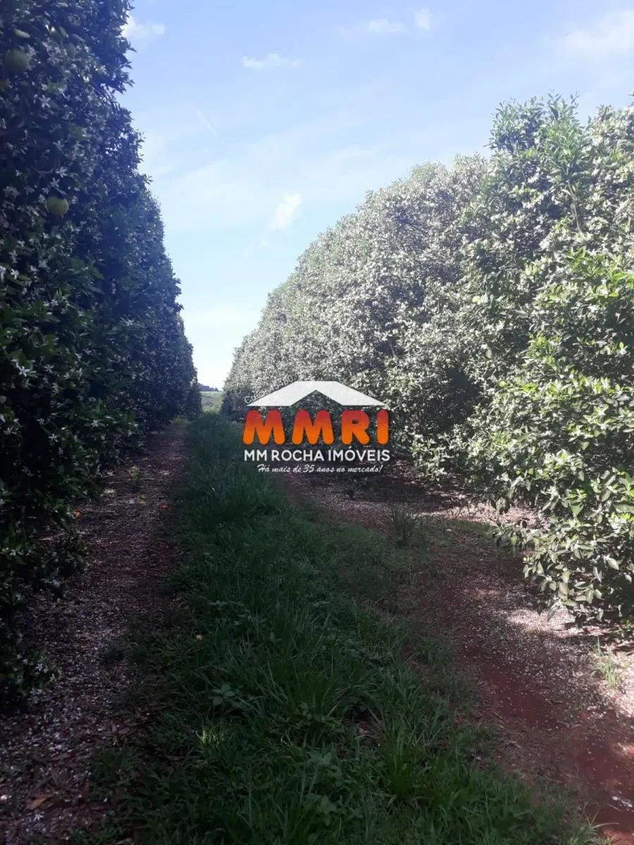 Fazenda à venda de 953 ha em Avaré, SP, Brasil