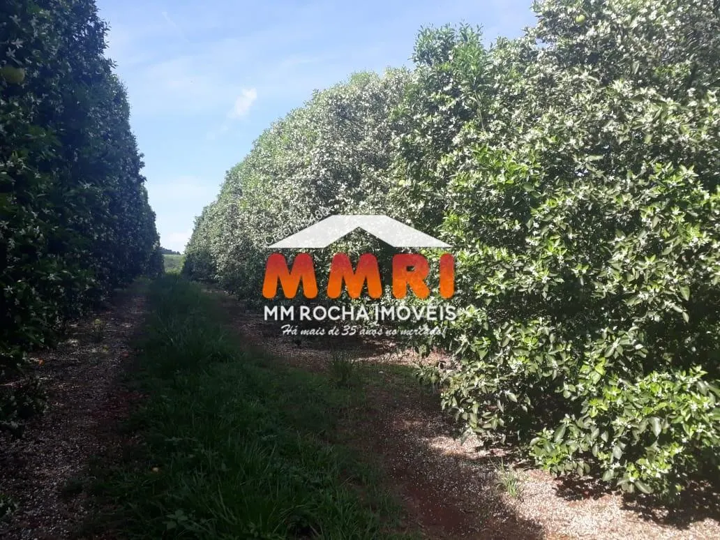 Fazenda à venda de 953 ha em Avaré, SP, Brasil