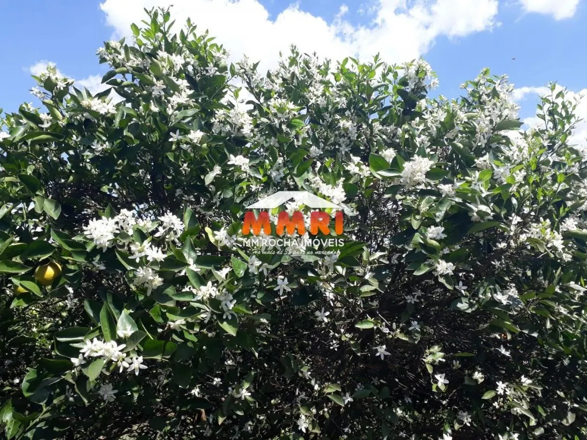Fazenda à venda de 953 ha em Avaré, SP, Brasil