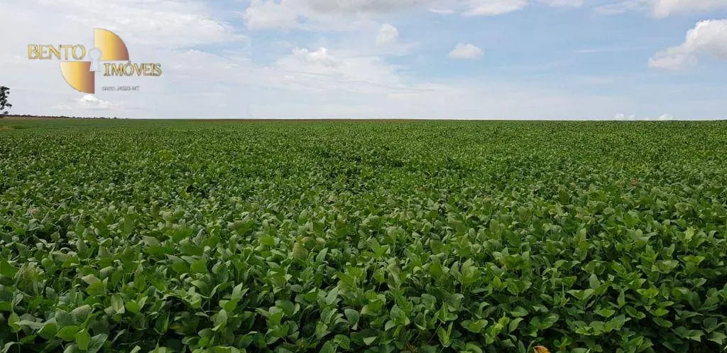Fazenda à venda de 3.090 ha em Campo Verde, MT, Brasil