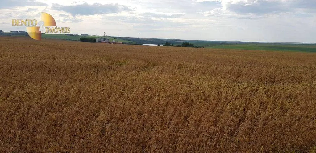 Fazenda à venda de 3.090 ha em Campo Verde, MT, Brasil