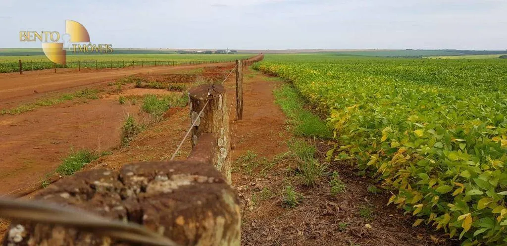 Fazenda à venda de 3.090 ha em Campo Verde, MT, Brasil