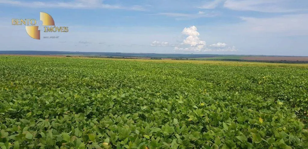 Fazenda à venda de 3.090 ha em Campo Verde, MT, Brasil
