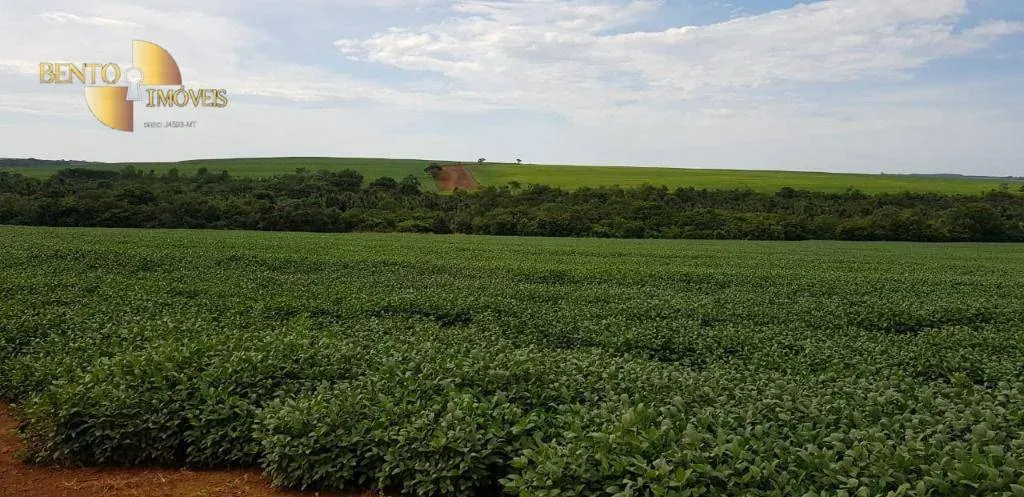 Fazenda à venda de 3.090 ha em Campo Verde, MT, Brasil