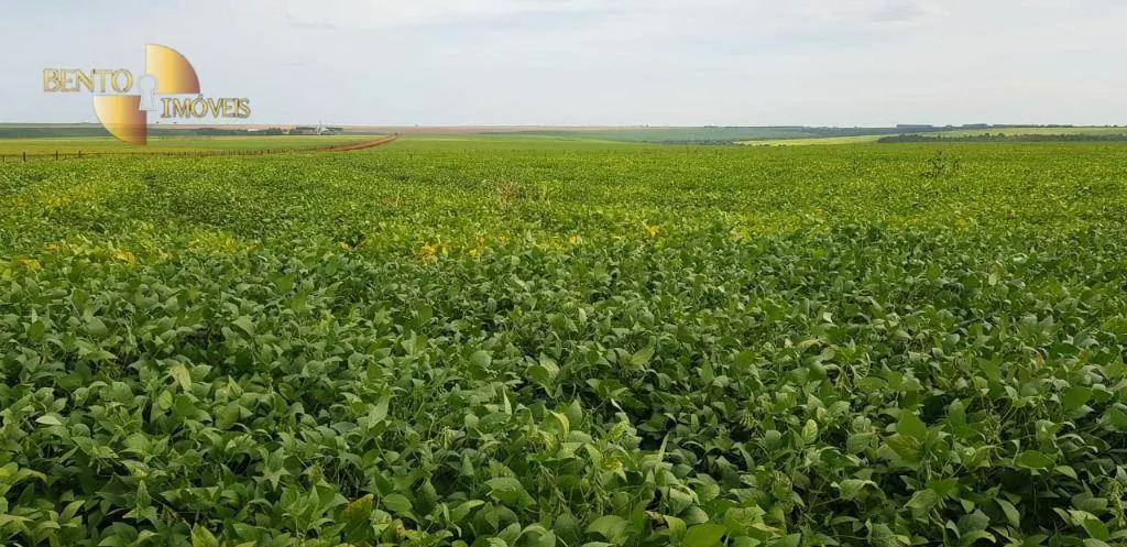 Fazenda à venda de 3.090 ha em Campo Verde, MT, Brasil
