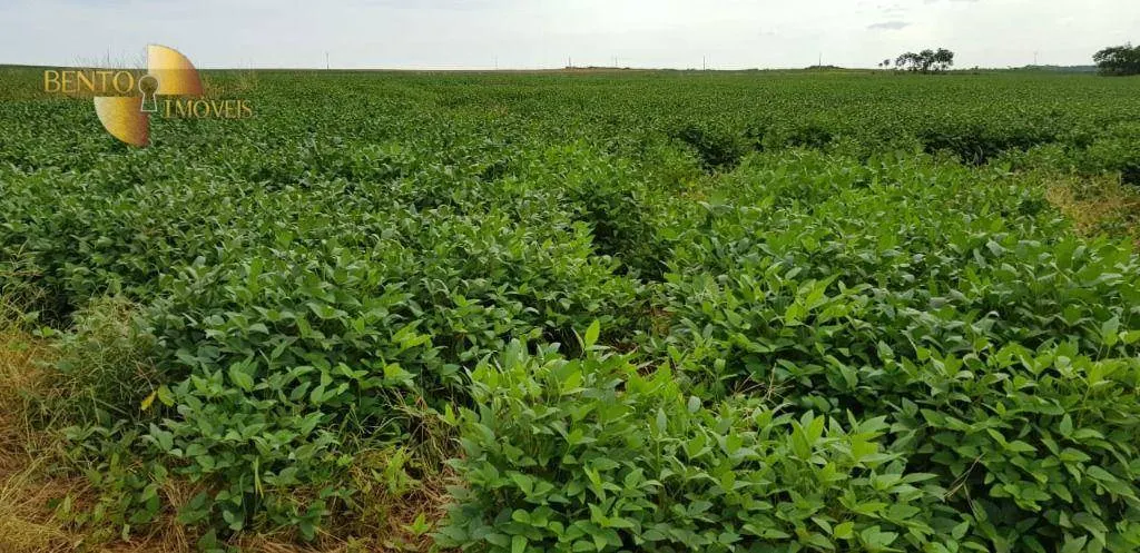 Fazenda à venda de 3.090 ha em Campo Verde, MT, Brasil