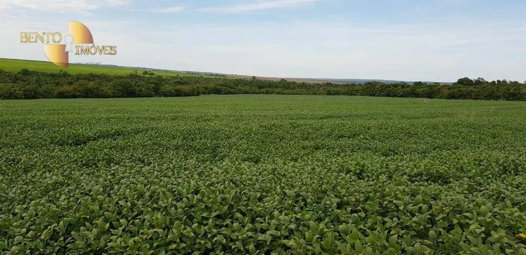 Fazenda à venda de 3.090 ha em Campo Verde, MT, Brasil