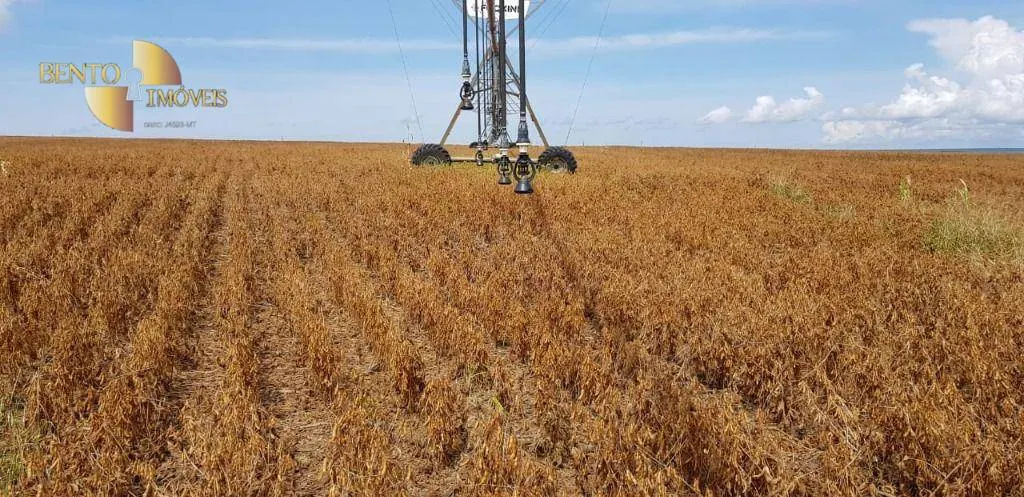Fazenda à venda de 3.090 ha em Campo Verde, MT, Brasil