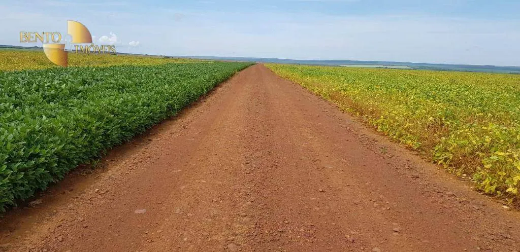 Fazenda à venda de 3.090 ha em Campo Verde, MT, Brasil