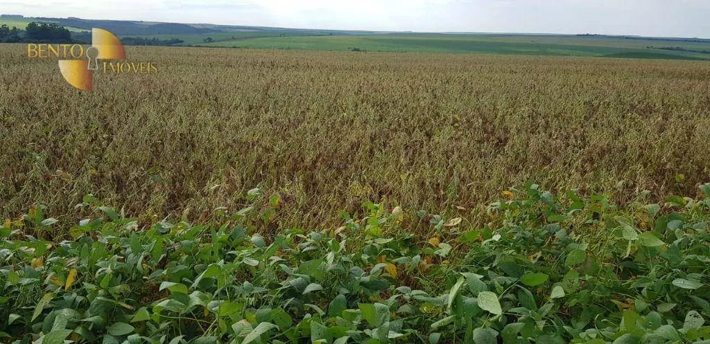 Fazenda à venda de 3.090 ha em Campo Verde, MT, Brasil