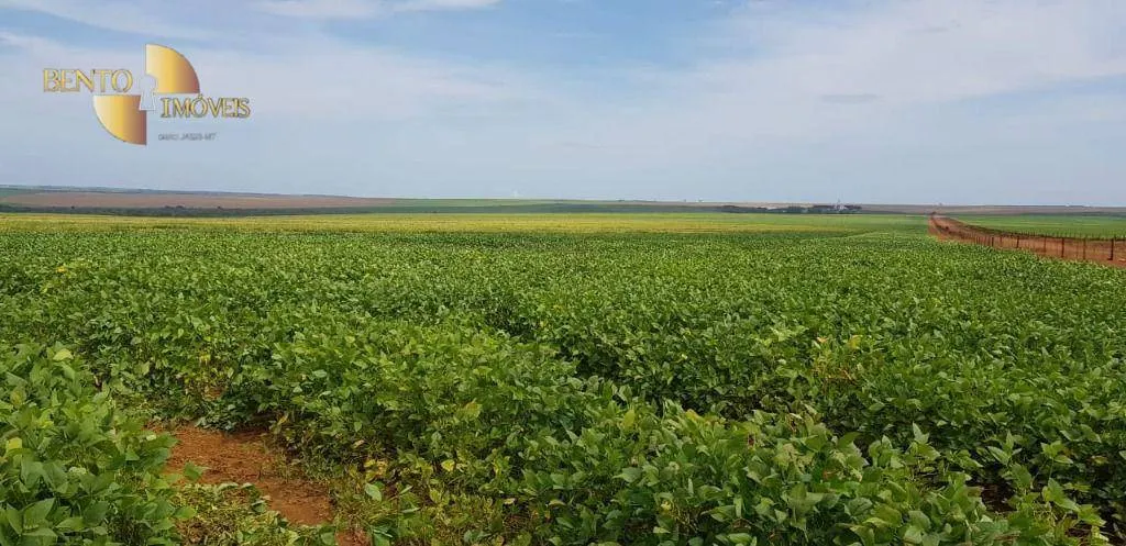 Fazenda à venda de 3.090 ha em Campo Verde, MT, Brasil