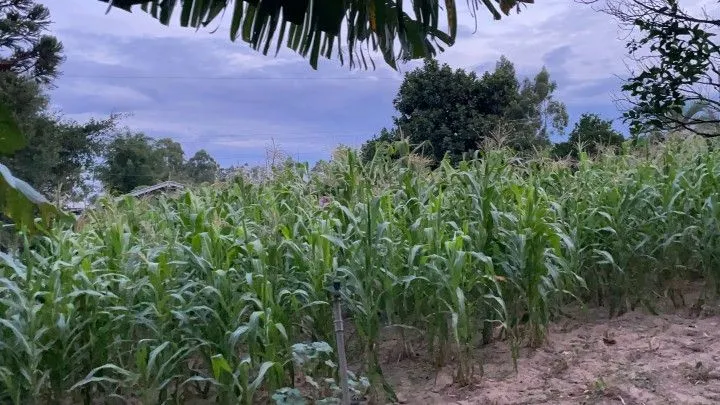 Country home for sale of 4 acres in Santo Antônio da Patrulha, RS, Brazil