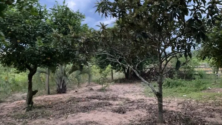 Country home for sale of 4 acres in Santo Antônio da Patrulha, RS, Brazil