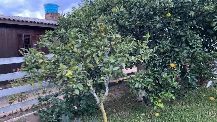Country home for sale of 4 acres in Santo Antônio da Patrulha, RS, Brazil