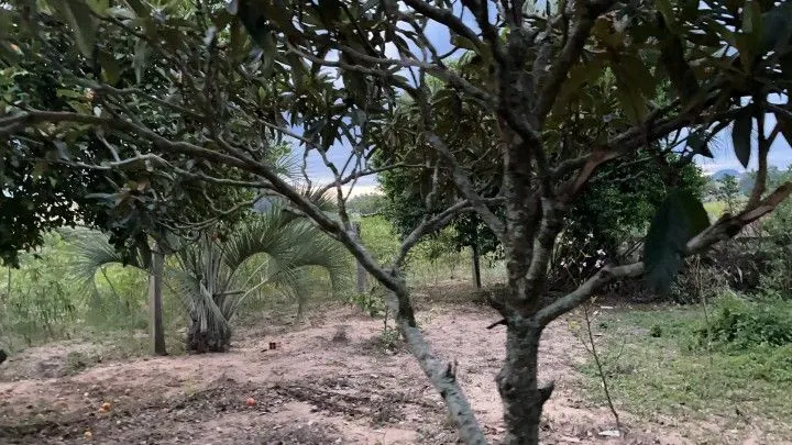 Country home for sale of 4 acres in Santo Antônio da Patrulha, RS, Brazil