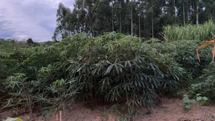 Country home for sale of 4 acres in Santo Antônio da Patrulha, RS, Brazil