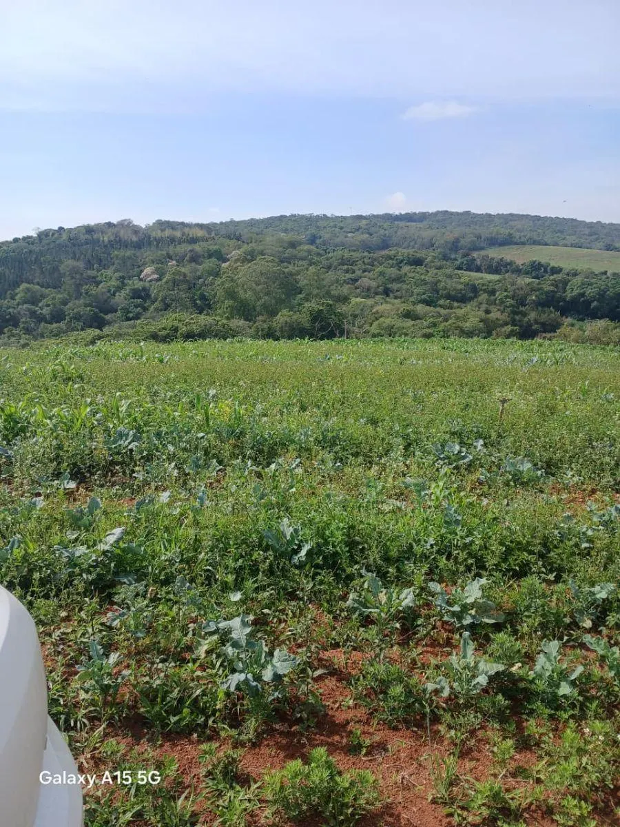 Small farm for sale of 102 acres in Ibiúna, SP, Brazil
