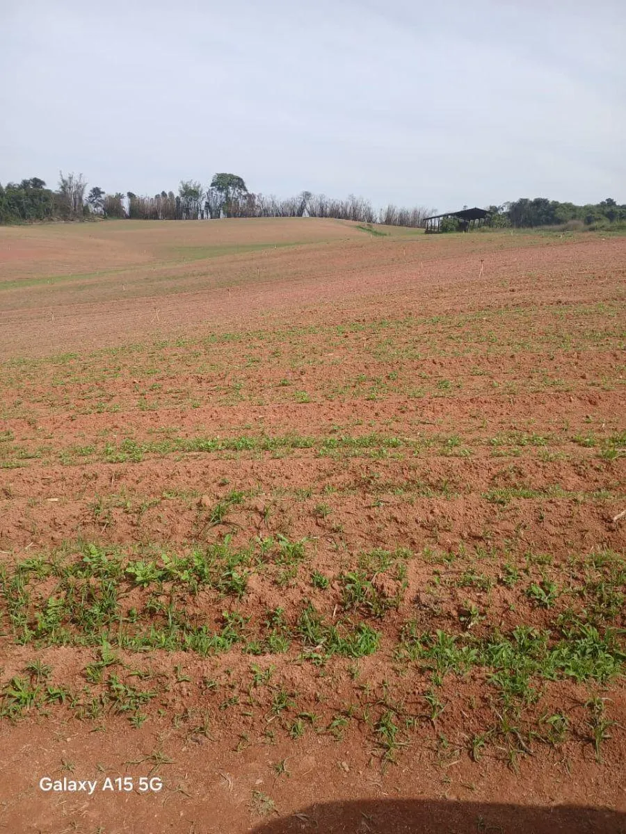 Small farm for sale of 102 acres in Ibiúna, SP, Brazil