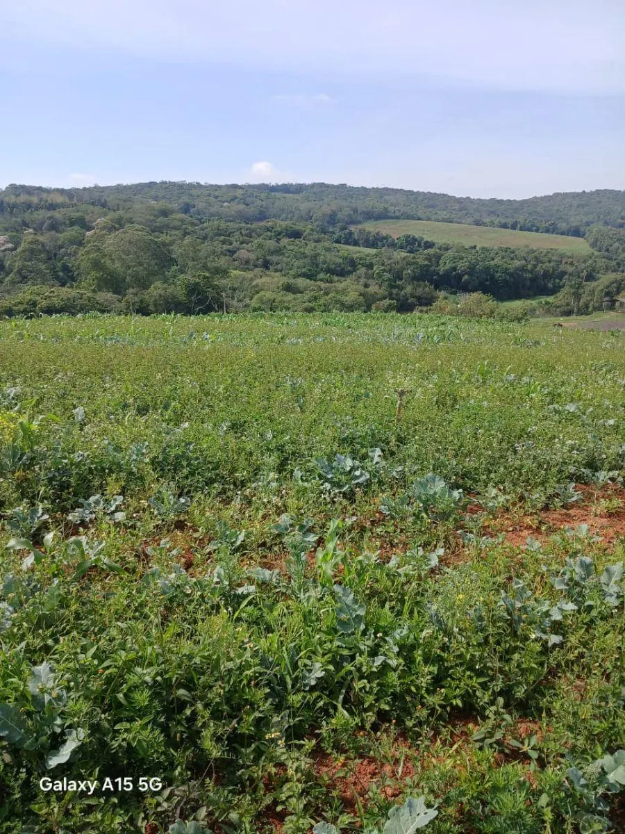 Small farm for sale of 102 acres in Ibiúna, SP, Brazil