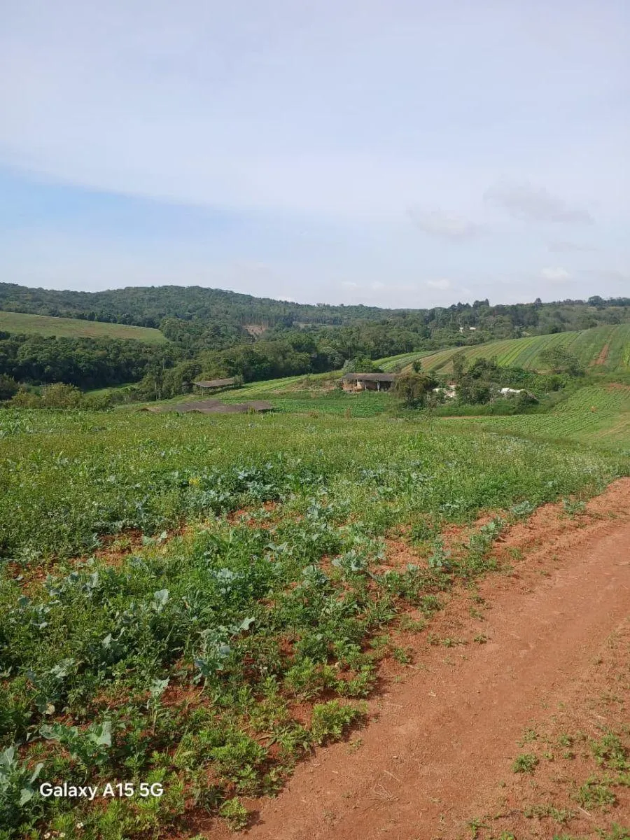 Small farm for sale of 102 acres in Ibiúna, SP, Brazil