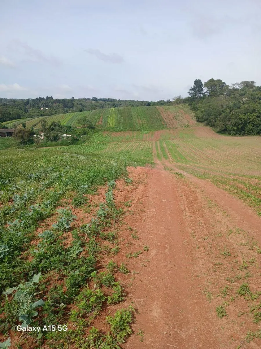 Small farm for sale of 102 acres in Ibiúna, SP, Brazil