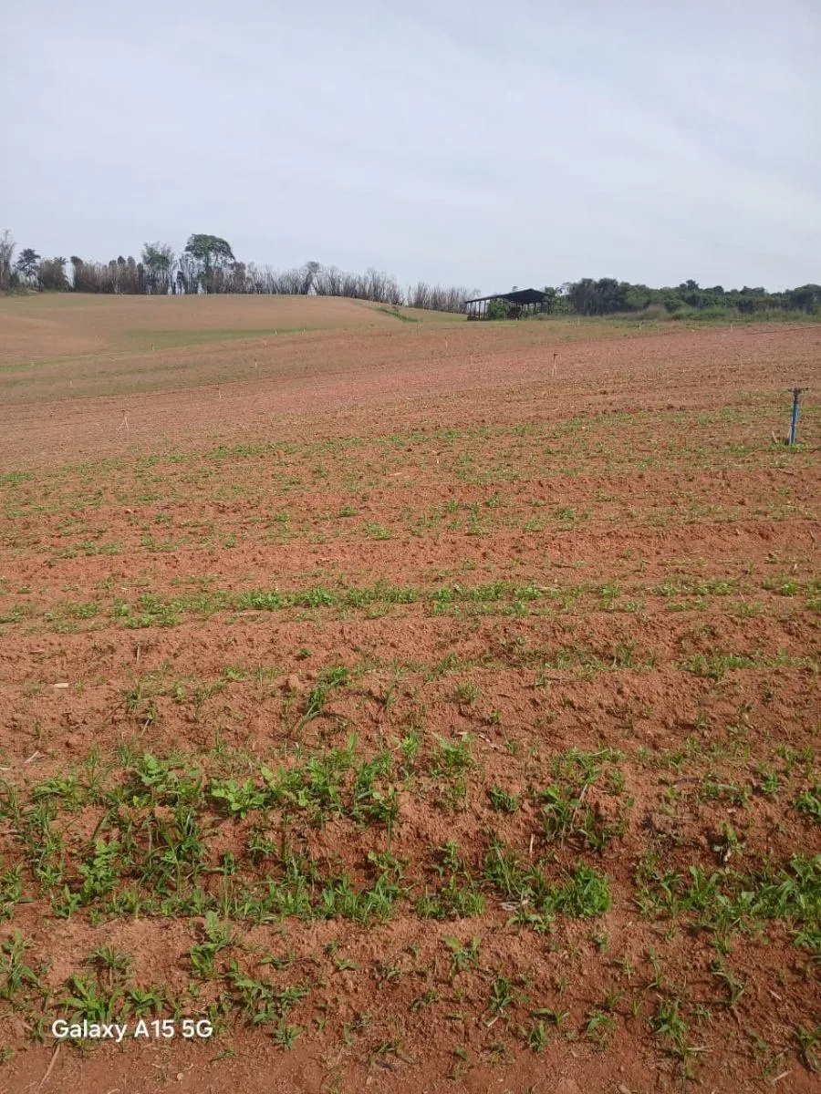 Small farm for sale of 102 acres in Ibiúna, SP, Brazil