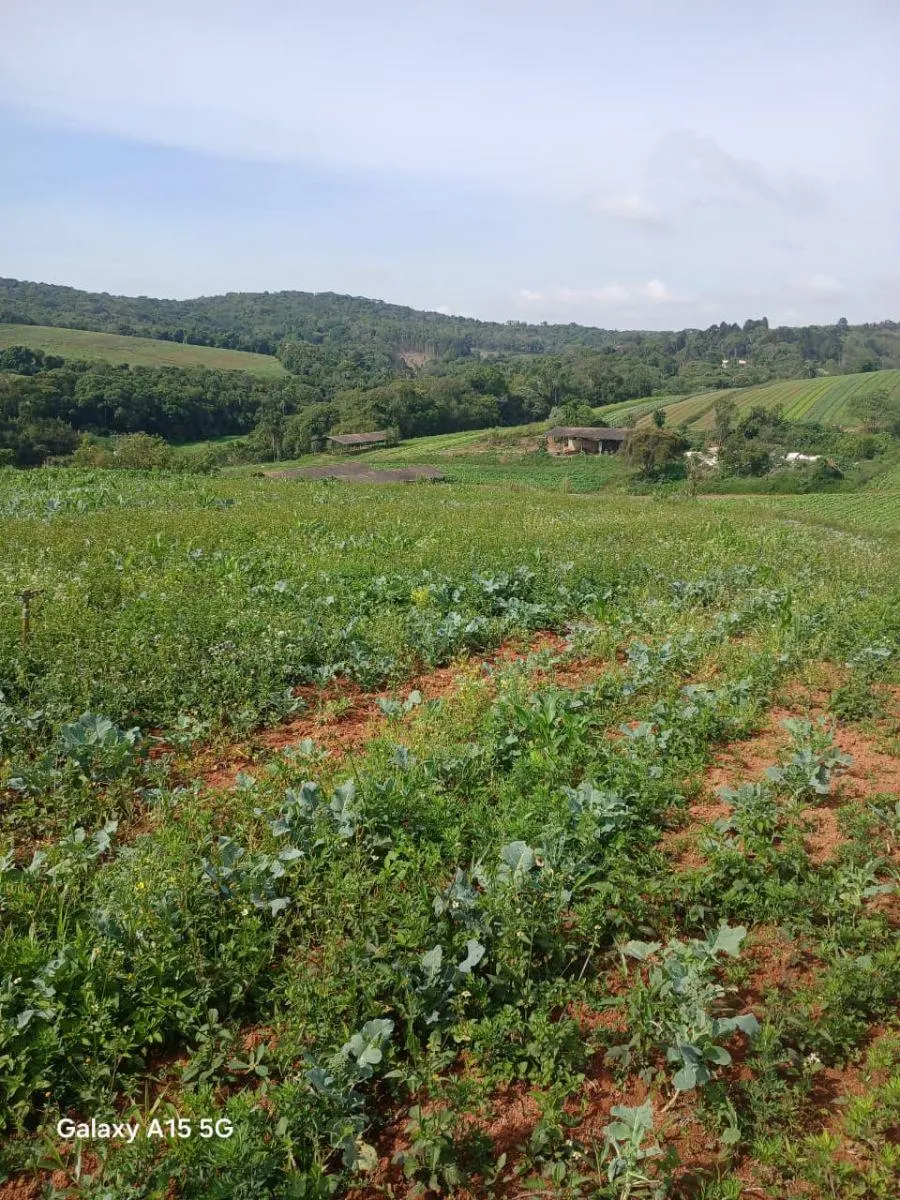 Small farm for sale of 102 acres in Ibiúna, SP, Brazil