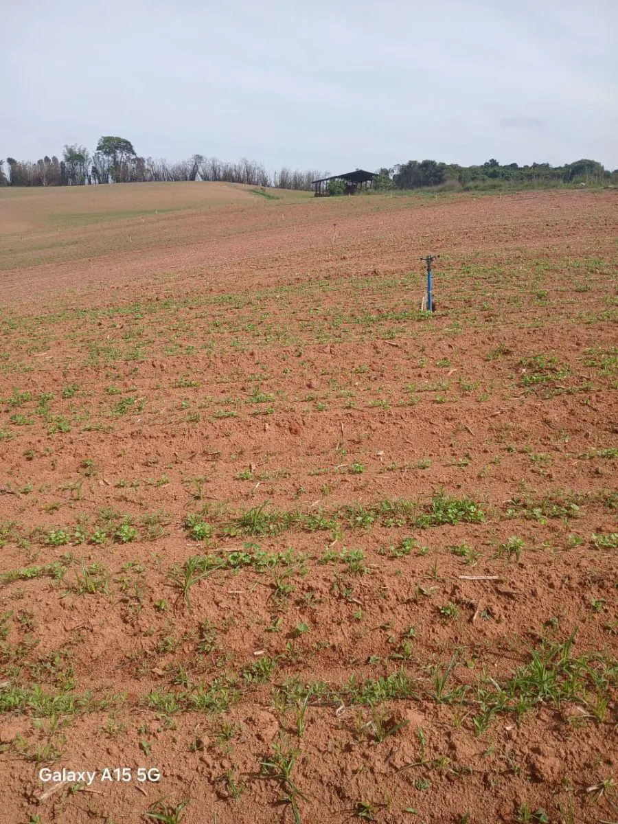 Small farm for sale of 102 acres in Ibiúna, SP, Brazil