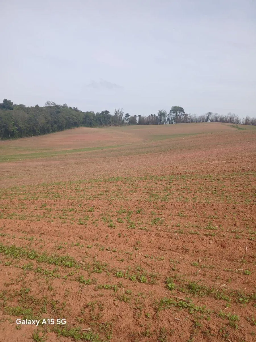 Small farm for sale of 102 acres in Ibiúna, SP, Brazil