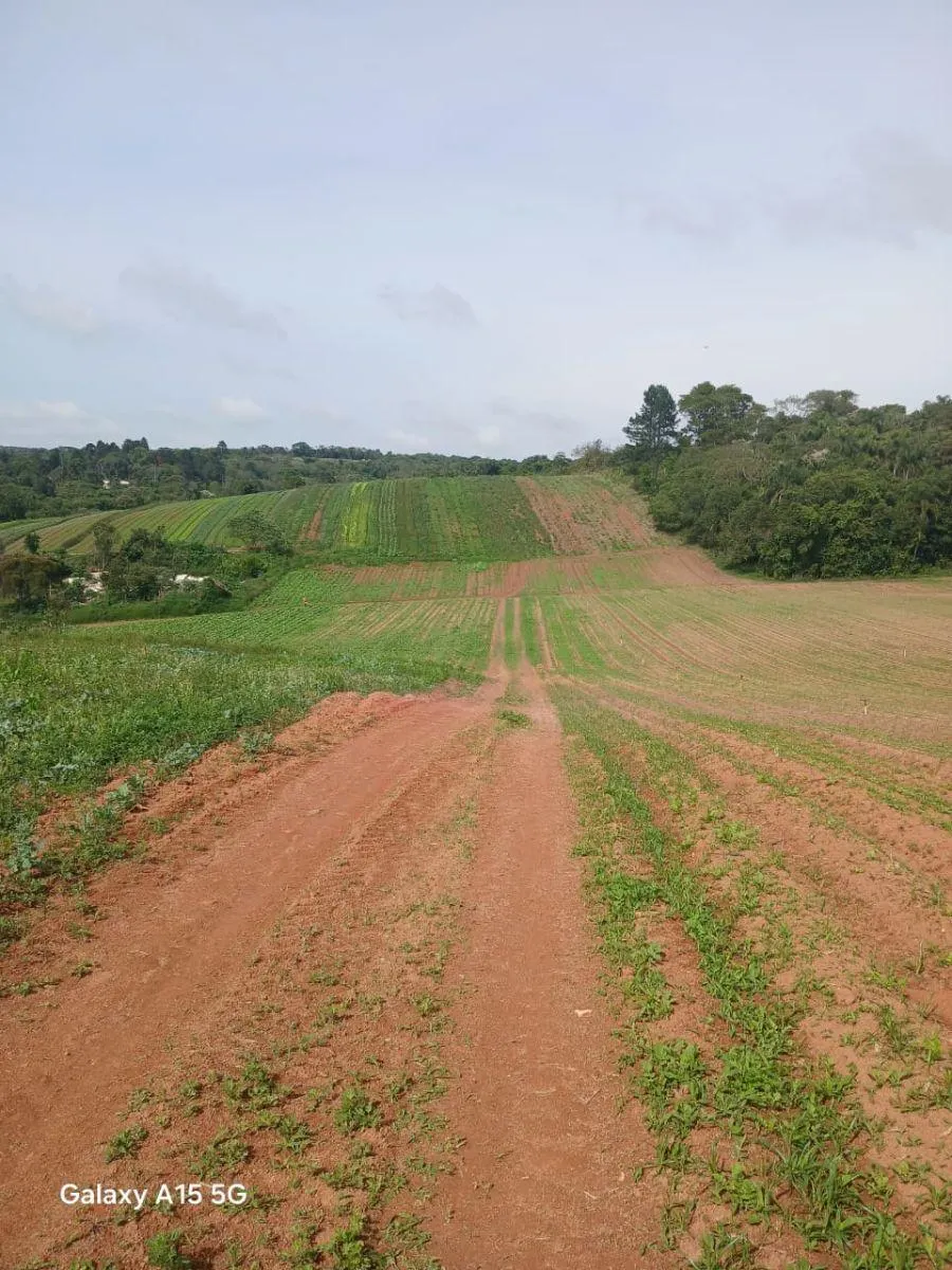 Sítio à venda de 41 ha em Ibiúna, SP, Brasil